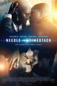   Иголка в стогу времени (2021)