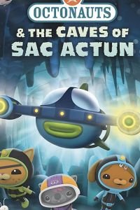   (2020)